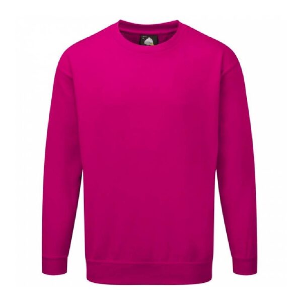 Kite sweatshirt