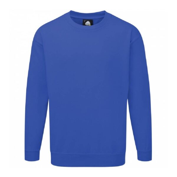 Kite sweatshirt - Image 4