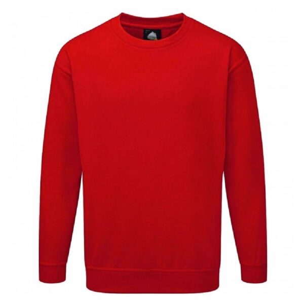 Kite sweatshirt - Image 5