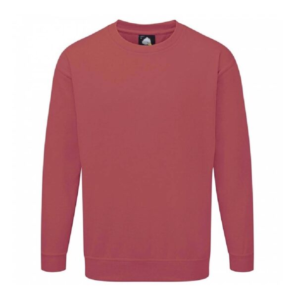 Kite sweatshirt - Image 6