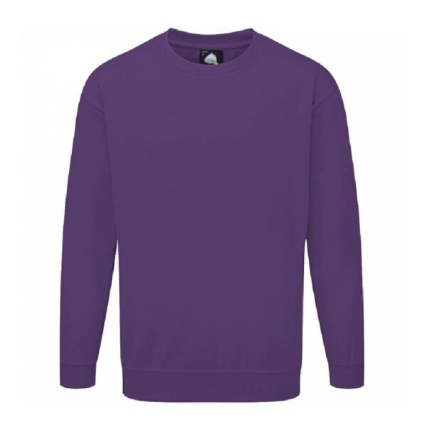 Kite sweatshirt - Image 10