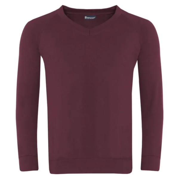 Classic V-Neck Sweatshirt